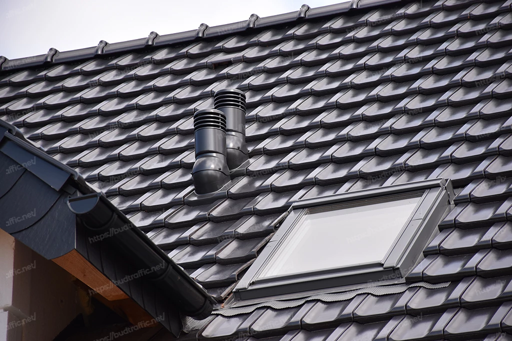 вентиляційний грибок