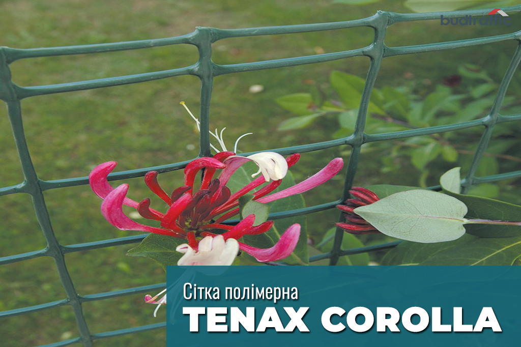 Tenax COROLLA Tenax COROLLA