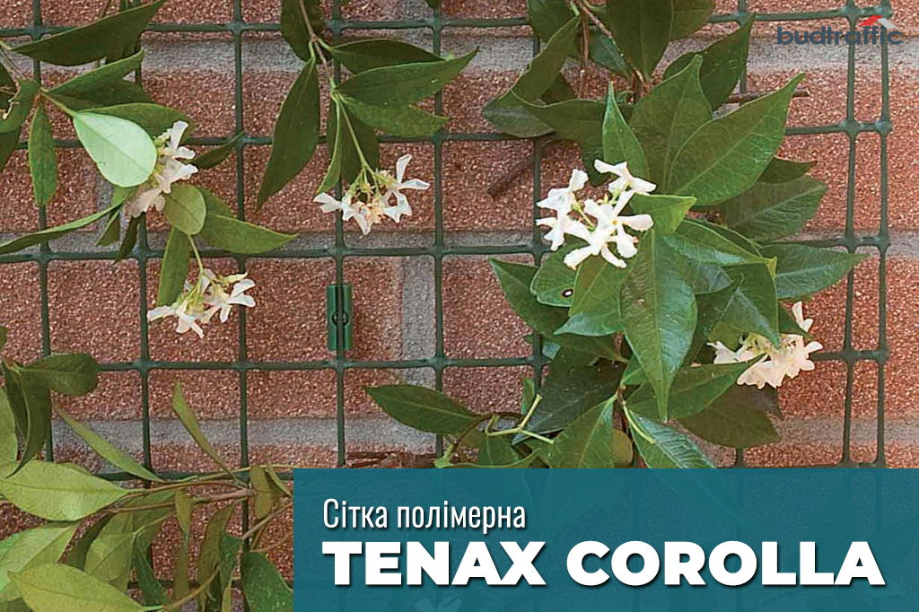 Tenax COROLLA Tenax COROLLA
