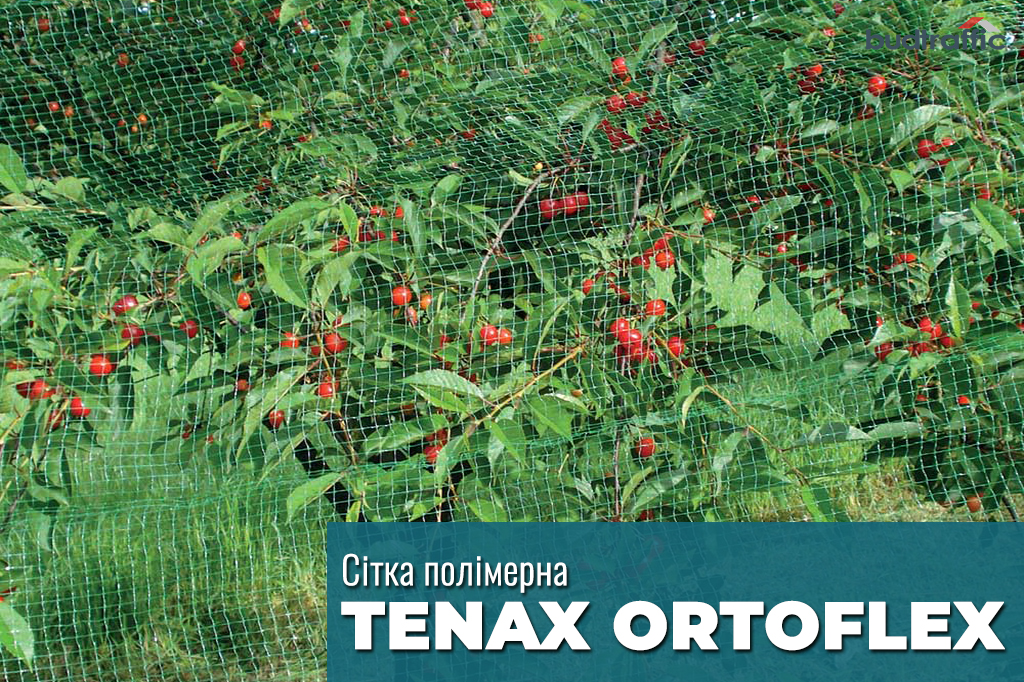 Tenax ORTOFLEX Tenax ORTOFLEX