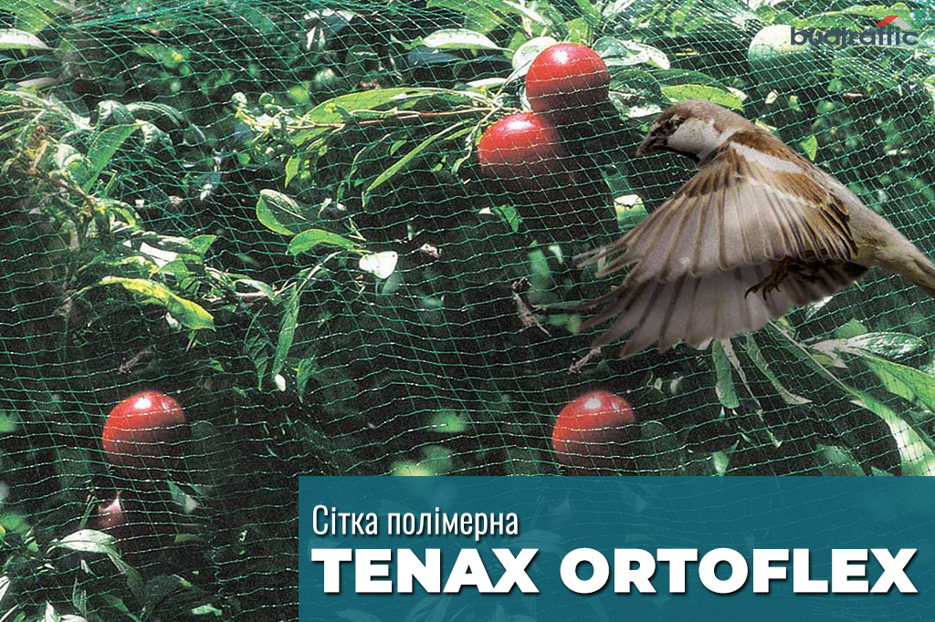 Tenax ORTOFLEX Tenax ORTOFLEX