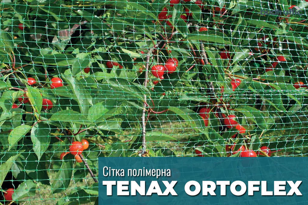 Tenax ORTOFLEX Tenax ORTOFLEX
