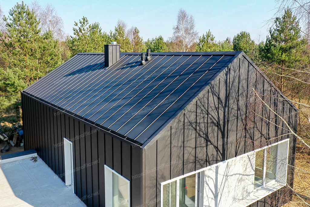 грибок вентиляційний